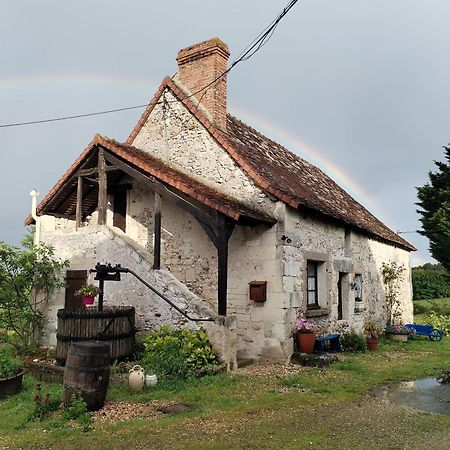 Gite 4 Pers, Jacuzzi, Piscine, Proche Futuroscope, Calme Et Nature A La Roche Posay La Roche-Posay Exterior foto