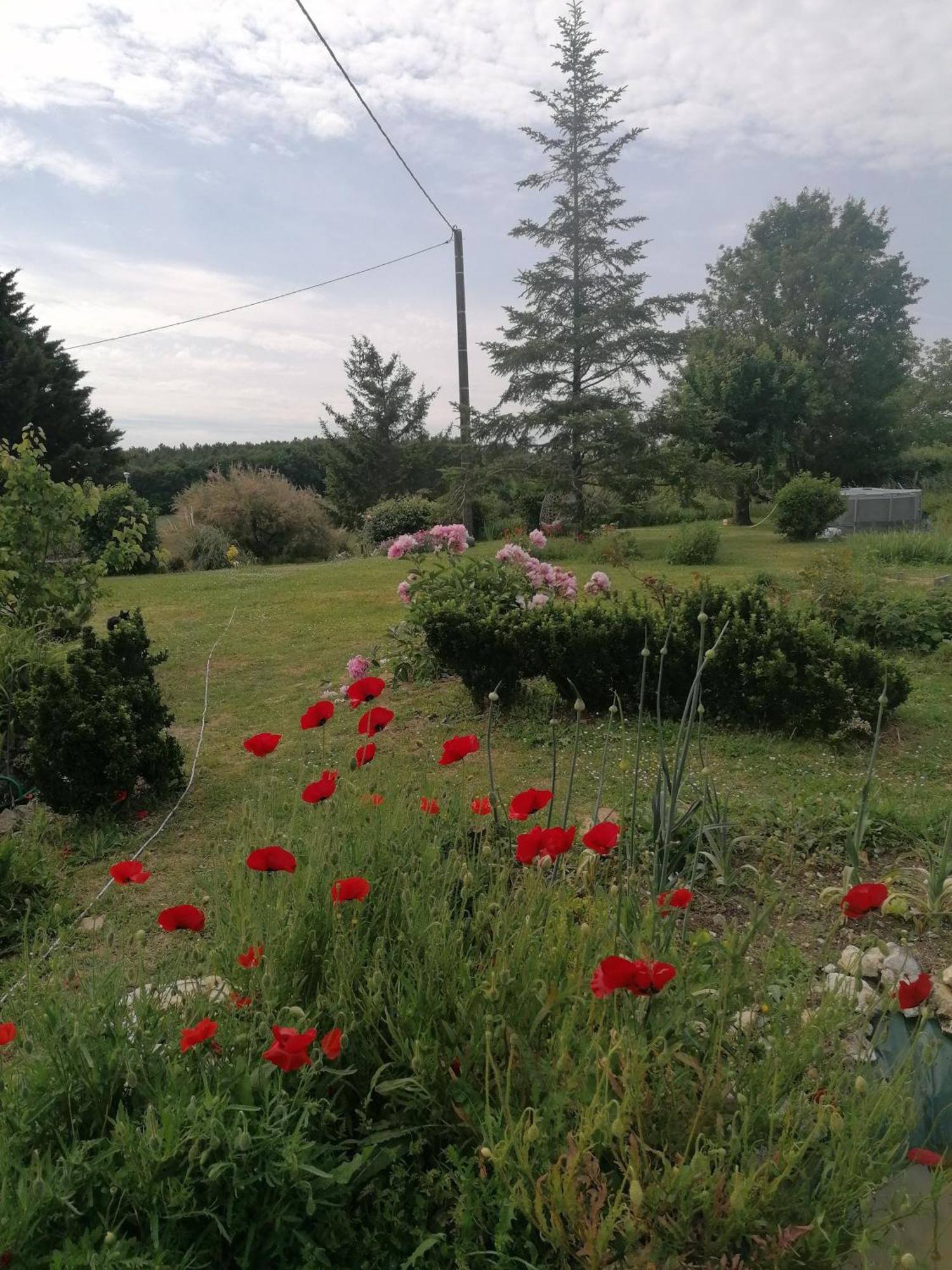 Gite 4 Pers, Jacuzzi, Piscine, Proche Futuroscope, Calme Et Nature A La Roche Posay La Roche-Posay Exterior foto