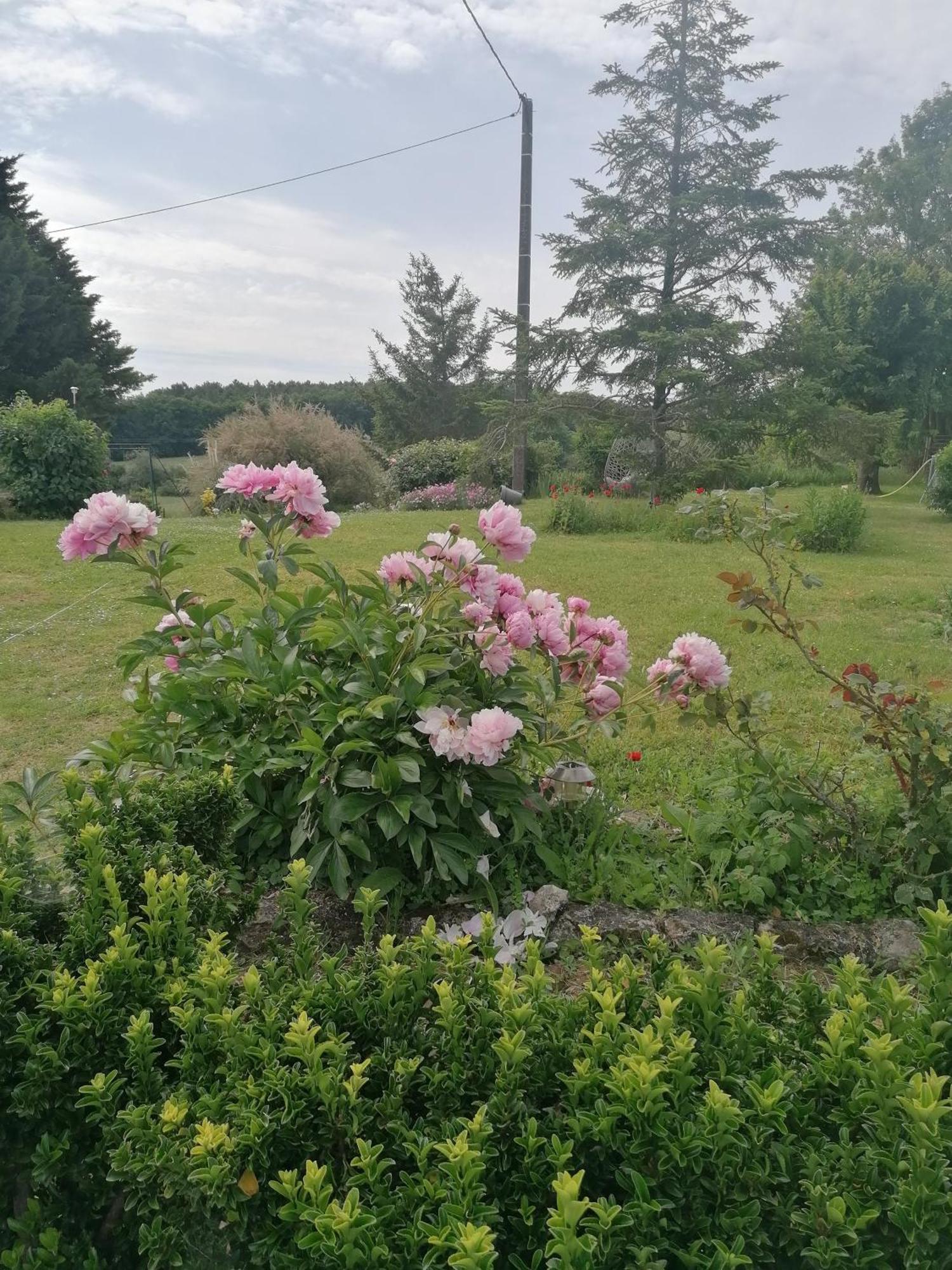 Charmante Maison, Calme Et Nature A La Roche Posay Vila Exterior foto