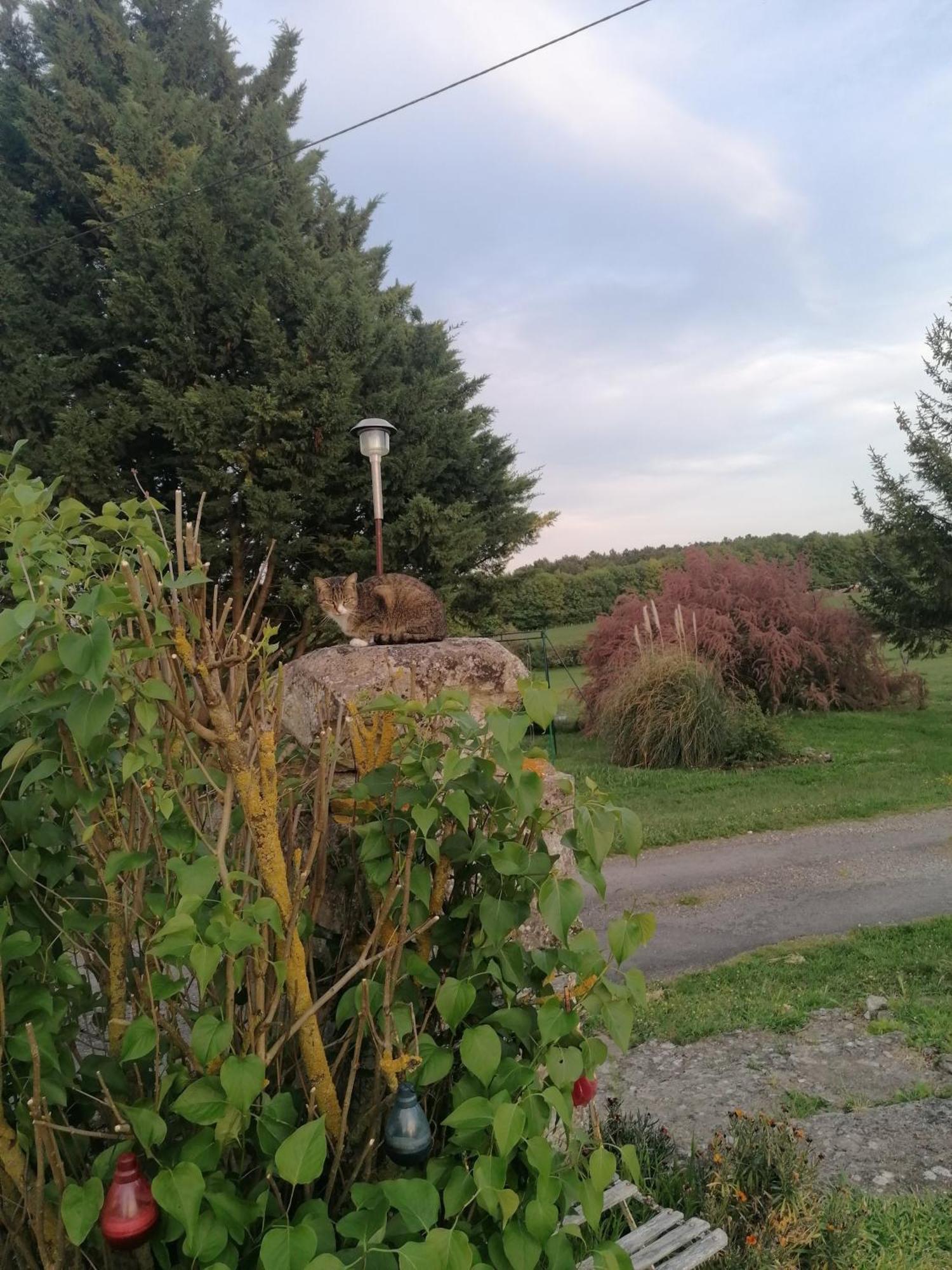 Charmante Maison, Calme Et Nature A La Roche Posay Vila Exterior foto